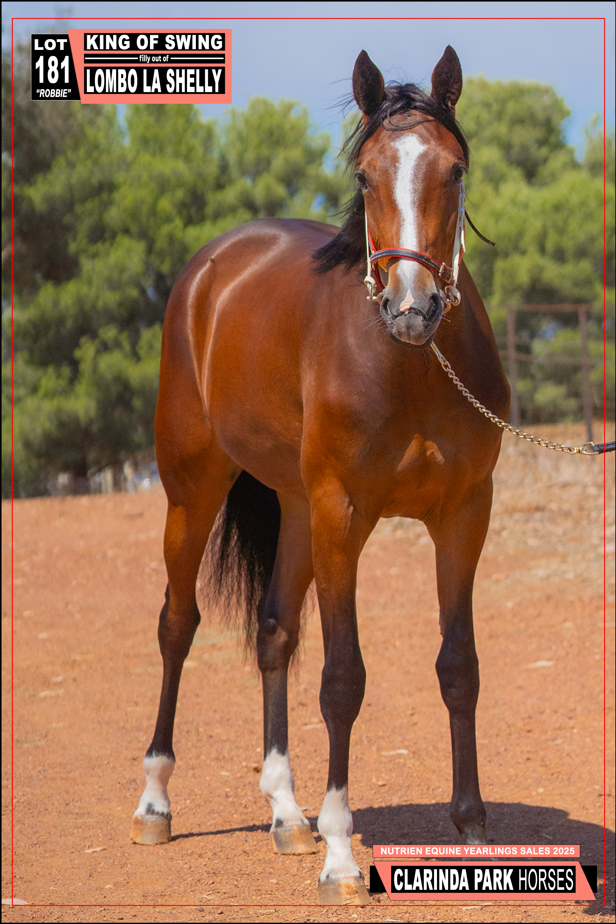 Nutrien Live - Catalogue Lot