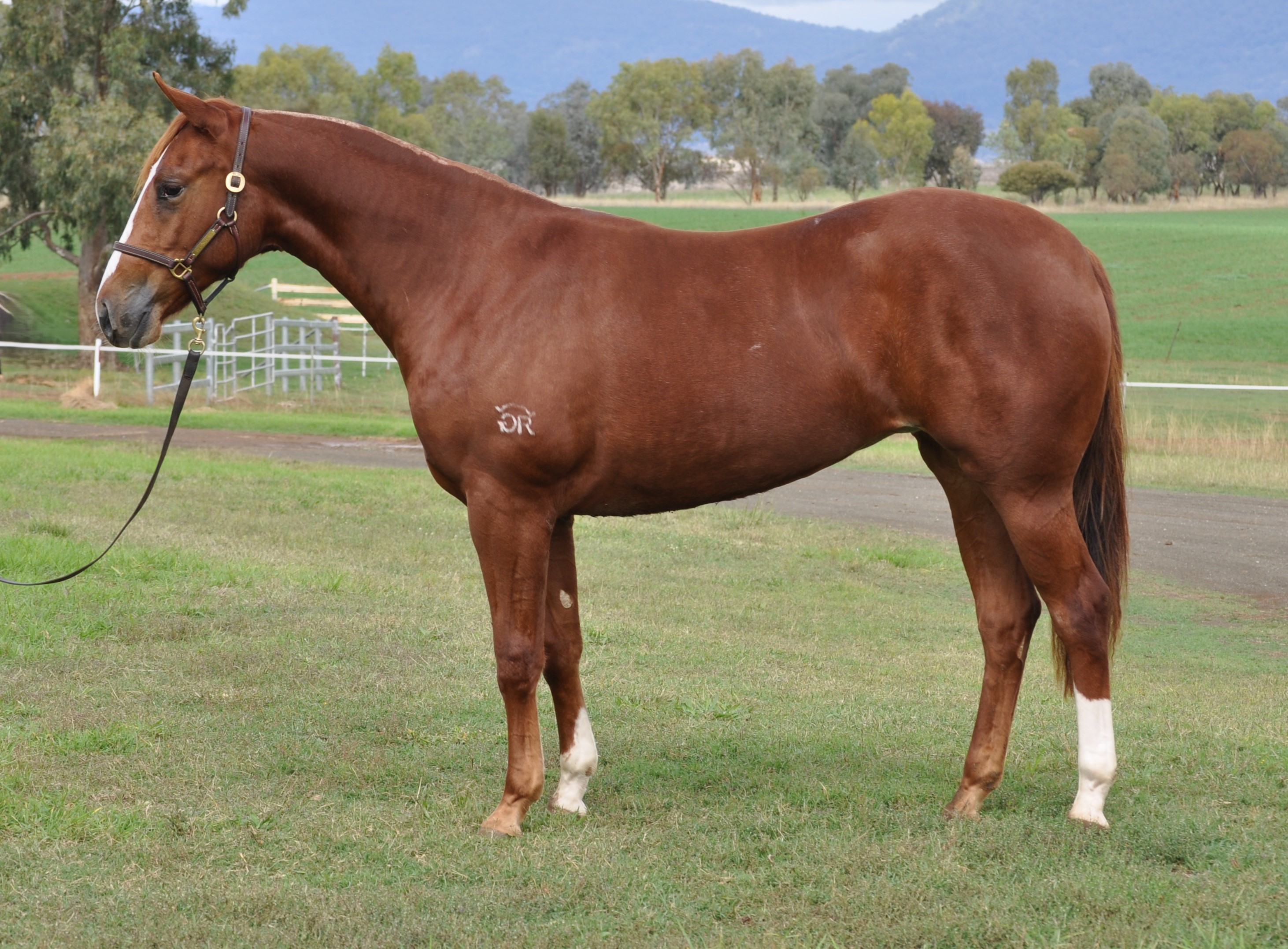 nutrien-live-catalogue-lot