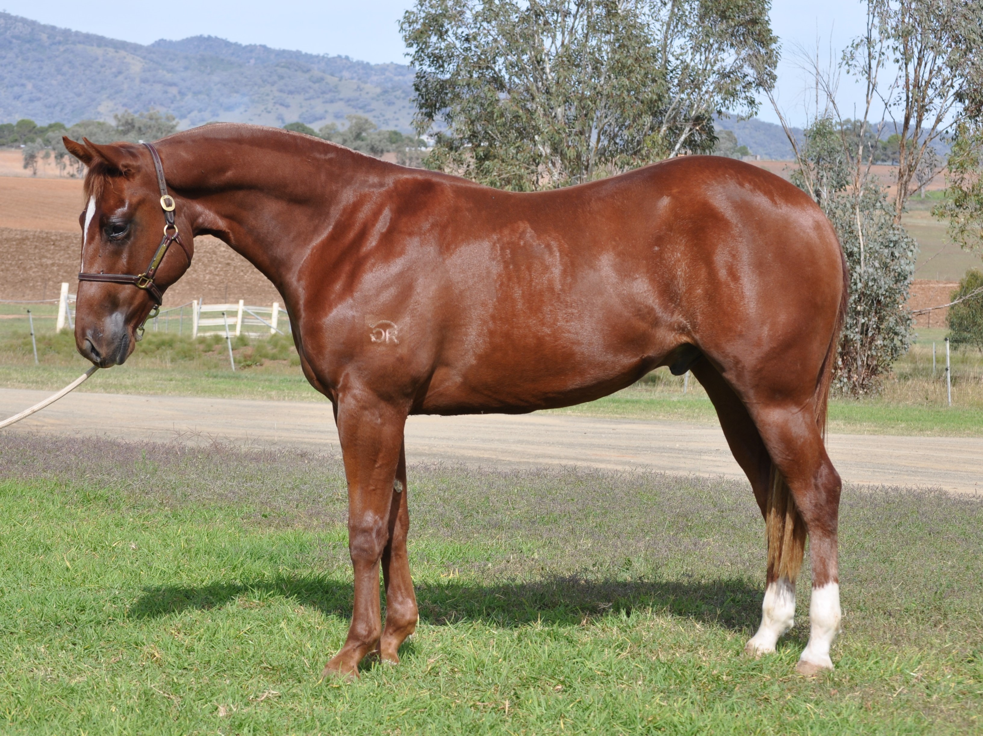 nutrien-live-catalogue-lot